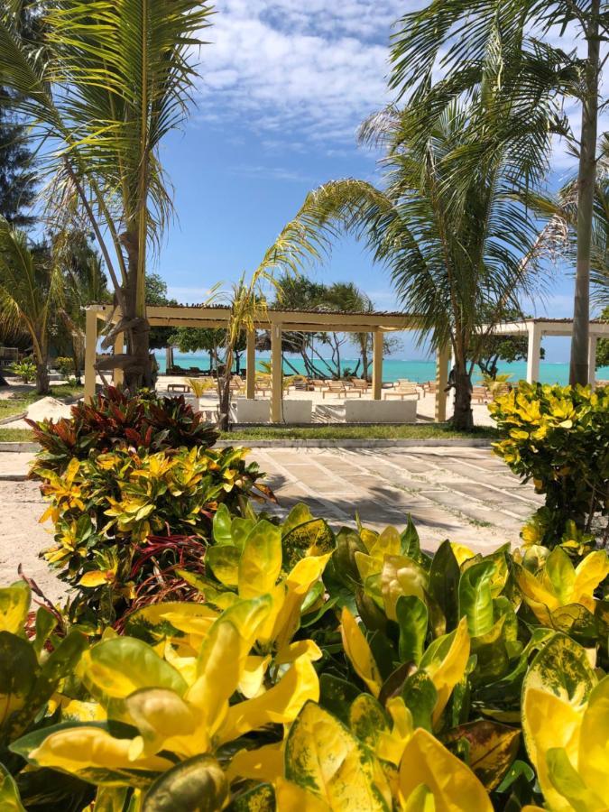 Jambo Beach Hotel باجي المظهر الخارجي الصورة